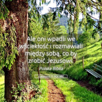 Picture 05 - Łukasza 6:11 POLUBG - Ale oni wpadli we wściekłość i rozmawiali - Bible Verse Picture