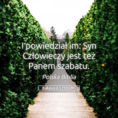 Picture 05 - Łukasza 6:5 POLUBG - I powiedział im: Syn Człowieczy jest też Panem - Bible Verse Picture