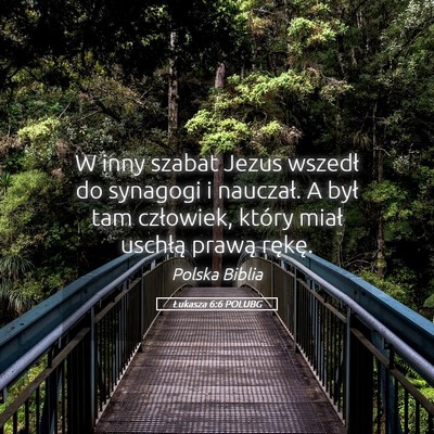 Picture 05 - Łukasza 6:6 POLUBG - W inny szabat Jezus wszedł do synagogi i - Bible Verse Picture