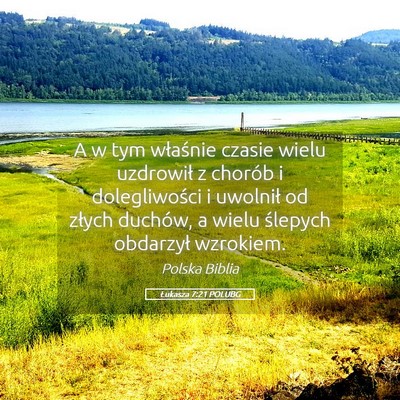 Picture 05 - Łukasza 7:21 POLUBG - A w tym właśnie czasie wielu uzdrowił z - Bible Verse Picture