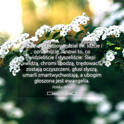 Picture 05 - Łukasza 7:22 POLUBG - Jezus więc odpowiedział im: Idźcie i - Bible Verse Picture