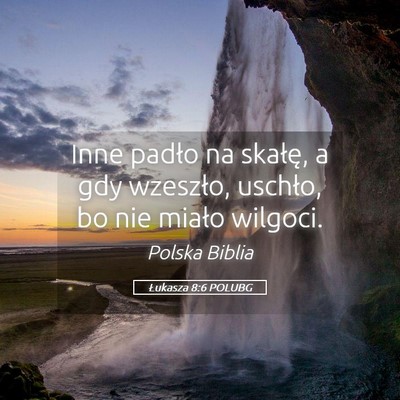 Picture 05 - Łukasza 8:6 POLUBG - Inne padło na skałę, a gdy wzeszło, uschło, - Bible Verse Picture