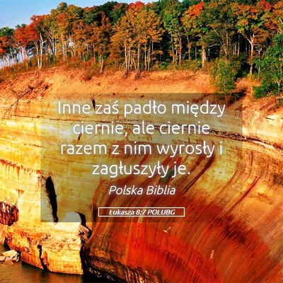 Picture 05 - Łukasza 8:7 POLUBG - Inne zaś padło między ciernie, ale ciernie - Bible Verse Picture