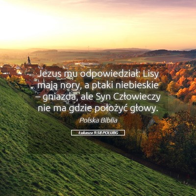 Picture 05 - Łukasza 9:58 POLUBG - Jezus mu odpowiedział: Lisy mają nory, a ptaki - Bible Verse Picture