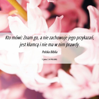 Picture 06 - 1 Jana 2:4 POLUBG - Kto mówi: Znam go, a nie zachowuje jego - Bible Verse Picture