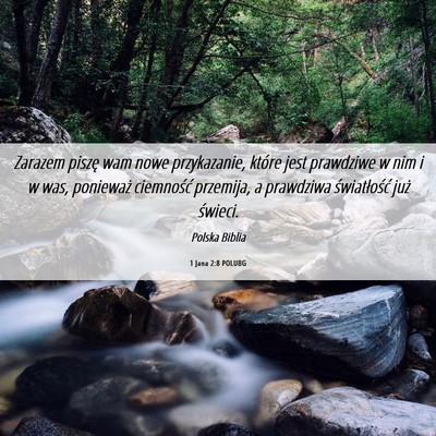 Picture 06 - 1 Jana 2:8 POLUBG - Zarazem piszę wam nowe przykazanie, które jest - Bible Verse Picture