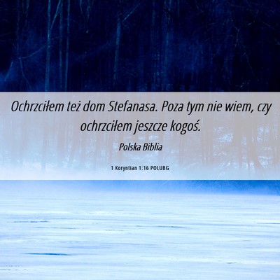 Picture 06 - 1 Koryntian 1:16 POLUBG - Ochrzciłem też dom Stefanasa. Poza tym nie - Bible Verse Picture
