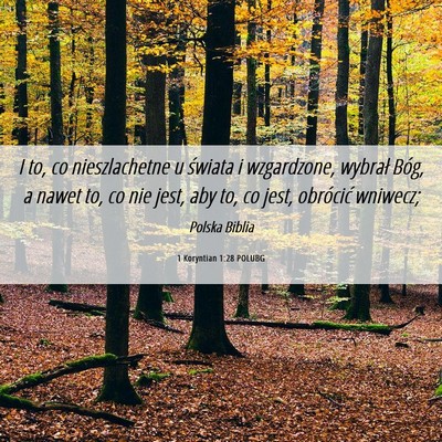 Picture 06 - 1 Koryntian 1:28 POLUBG - I to, co nieszlachetne u świata i wzgardzone, - Bible Verse Picture