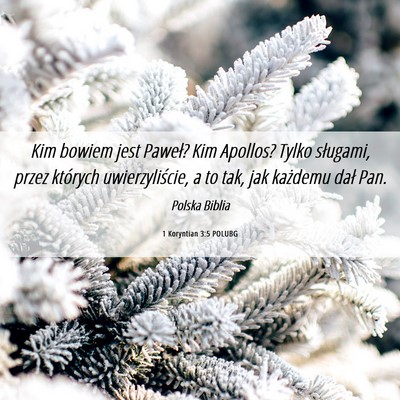 Picture 06 - 1 Koryntian 3:5 POLUBG - Kim bowiem jest Paweł? Kim Apollos? Tylko - Bible Verse Picture