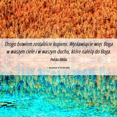 Picture 06 - 1 Koryntian 6:20 POLUBG - Drogo bowiem zostaliście kupieni. Wysławiajcie - Bible Verse Picture