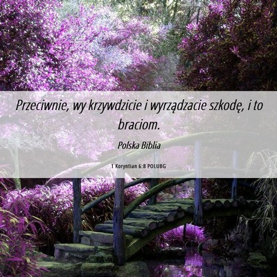 Picture 06 - 1 Koryntian 6:8 POLUBG - Przeciwnie, wy krzywdzicie i wyrządzacie - Bible Verse Picture