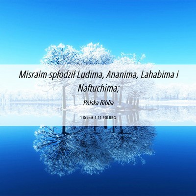 Picture 06 - 1 Kronik 1:11 POLUBG - Misraim spłodził Ludima, Ananima, Lahabima i - Bible Verse Picture