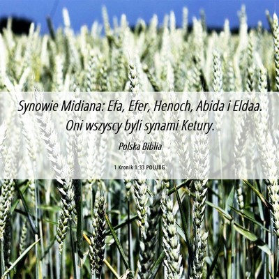 Picture 06 - 1 Kronik 1:33 POLUBG - Synowie Midiana: Efa, Efer, Henoch, Abida i - Bible Verse Picture