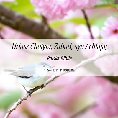 Picture 06 - 1 Kronik 11:41 POLUBG - Uriasz Chetyta, Zabad, syn - Bible Verse Picture