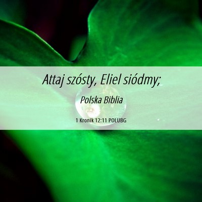Picture 06 - 1 Kronik 12:11 POLUBG - Attaj szósty, Eliel - Bible Verse Picture