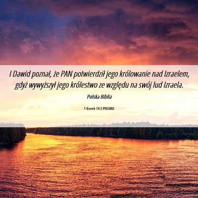Picture 06 - 1 Kronik 14:2 POLUBG - I Dawid poznał, że PAN potwierdził jego - Bible Verse Picture