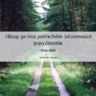 Picture 06 - 1 Kronik 18:12 POLUBG - I Abiszaj, syn Serui, pobił w Dolinie Soli - Bible Verse Picture