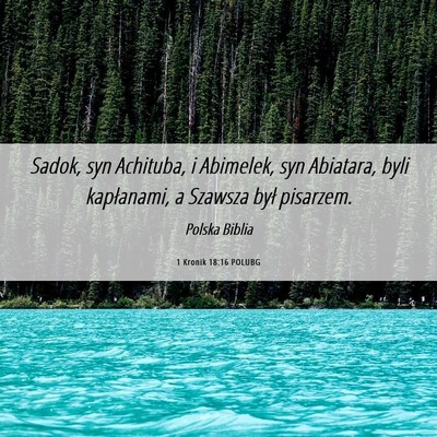 Picture 06 - 1 Kronik 18:16 POLUBG - Sadok, syn Achituba, i Abimelek, syn Abiatara, - Bible Verse Picture