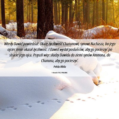 Picture 06 - 1 Kronik 19:2 POLUBG - Wtedy Dawid powiedział: Okażę życzliwość - Bible Verse Picture