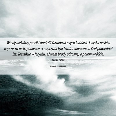 Picture 06 - 1 Kronik 19:5 POLUBG - Wtedy niektórzy poszli i donieśli Dawidowi o - Bible Verse Picture