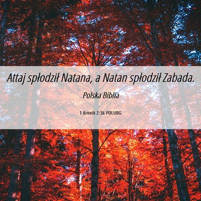 Picture 06 - 1 Kronik 2:36 POLUBG - Attaj spłodził Natana, a Natan spłodził - Bible Verse Picture
