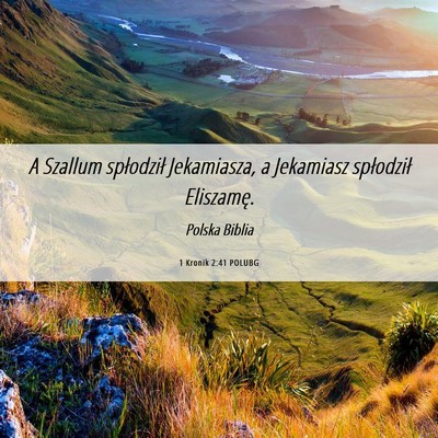 Picture 06 - 1 Kronik 2:41 POLUBG - A Szallum spłodził Jekamiasza, a Jekamiasz - Bible Verse Picture