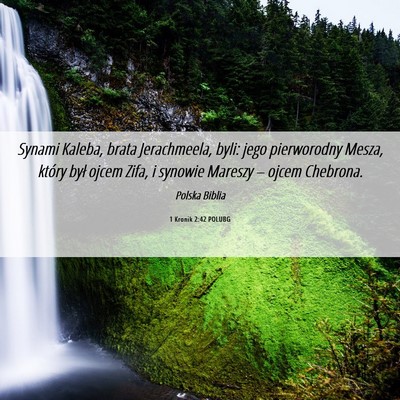 Picture 06 - 1 Kronik 2:42 POLUBG - Synami Kaleba, brata Jerachmeela, byli: jego - Bible Verse Picture