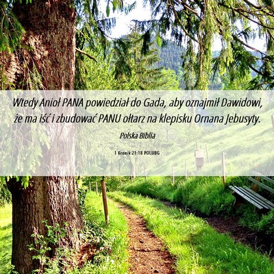 Picture 06 - 1 Kronik 21:18 POLUBG - Wtedy Anioł PANA powiedział do Gada, aby - Bible Verse Picture