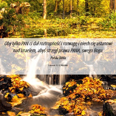 Picture 06 - 1 Kronik 22:12 POLUBG - Oby tylko PAN ci dał roztropność i rozwagę i - Bible Verse Picture