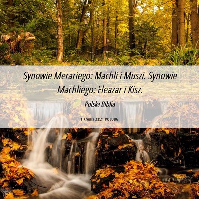 Picture 06 - 1 Kronik 23:21 POLUBG - Synowie Merariego: Machli i Muszi. Synowie - Bible Verse Picture
