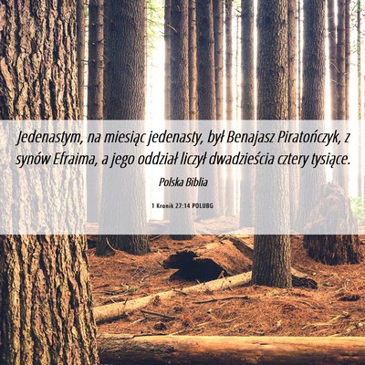 Picture 06 - 1 Kronik 27:14 POLUBG - Jedenastym, na miesiąc jedenasty, był Benajasz - Bible Verse Picture