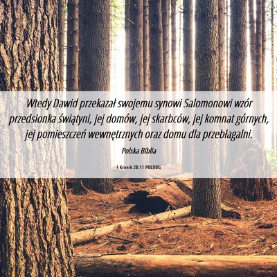 Picture 06 - 1 Kronik 28:11 POLUBG - Wtedy Dawid przekazał swojemu synowi Salomonowi - Bible Verse Picture