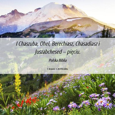 Picture 06 - 1 Kronik 3:20 POLUBG - I Chaszuba, Ohel, Berechiasz, Chasadiasz i - Bible Verse Picture