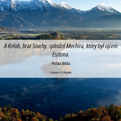 Picture 06 - 1 Kronik 4:11 POLUBG - A Kelub, brat Szuchy, spłodził Mechira, który - Bible Verse Picture