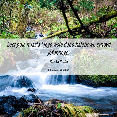 Picture 06 - 1 Kronik 6:56 POLUBG - Lecz pola miasta i jego wsie dano Kalebowi, - Bible Verse Picture