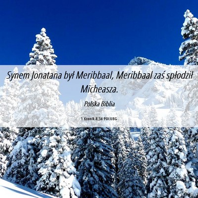 Picture 06 - 1 Kronik 8:34 POLUBG - Synem Jonatana był Meribbaal, Meribbaal zaś - Bible Verse Picture