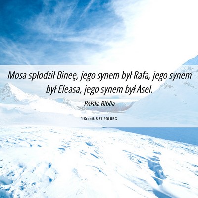 Picture 06 - 1 Kronik 8:37 POLUBG - Mosa spłodził Bineę, jego synem był Rafa, - Bible Verse Picture