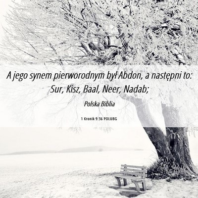 Picture 06 - 1 Kronik 9:36 POLUBG - A jego synem pierworodnym był Abdon, a następni - Bible Verse Picture