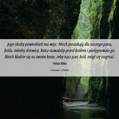 Picture 06 - 1 Królewska 1:2 POLUBG - Jego słudzy powiedzieli mu więc: Niech - Bible Verse Picture