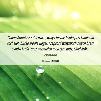 Picture 06 - 1 Królewska 1:9 POLUBG - Potem Adoniasz zabił owce, woły i tuczne bydło - Bible Verse Picture