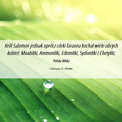 Picture 06 - 1 Królewska 11:1 POLUBG - Król Salomon jednak oprócz córki faraona - Bible Verse Picture