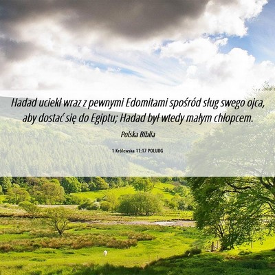 Picture 06 - 1 Królewska 11:17 POLUBG - Hadad uciekł wraz z pewnymi Edomitami spośród - Bible Verse Picture