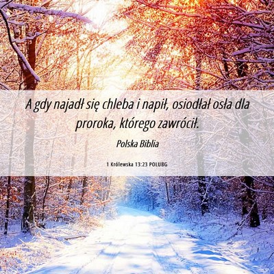 Picture 06 - 1 Królewska 13:23 POLUBG - A gdy najadł się chleba i napił, osiodłał - Bible Verse Picture