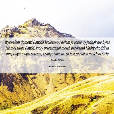 Picture 06 - 1 Królewska 14:8 POLUBG - Wyrwałem domowi Dawida królestwo i dałem je - Bible Verse Picture