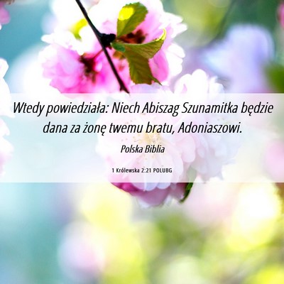 Picture 06 - 1 Królewska 2:21 POLUBG - Wtedy powiedziała: Niech Abiszag Szunamitka - Bible Verse Picture