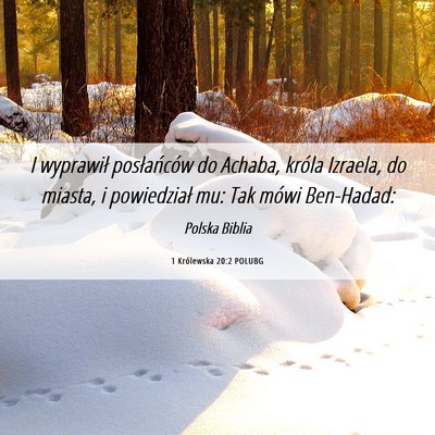 Picture 06 - 1 Królewska 20:2 POLUBG - I wyprawił posłańców do Achaba, króla - Bible Verse Picture