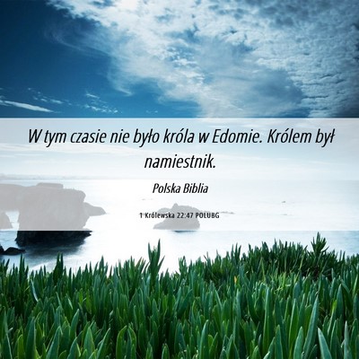 Picture 06 - 1 Królewska 22:47 POLUBG - W tym czasie nie było króla w Edomie. Królem - Bible Verse Picture