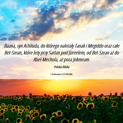 Picture 06 - 1 Królewska 4:12 POLUBG - Baana, syn Achiluda, do którego należały Tanak - Bible Verse Picture