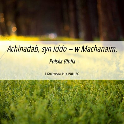 Picture 06 - 1 Królewska 4:14 POLUBG - Achinadab, syn Iddo – w - Bible Verse Picture