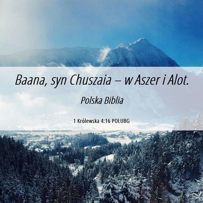 Picture 06 - 1 Królewska 4:16 POLUBG - Baana, syn Chuszaia – w Aszer i - Bible Verse Picture